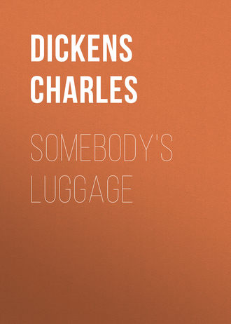 Обложка книги «Somebody's Luggage»