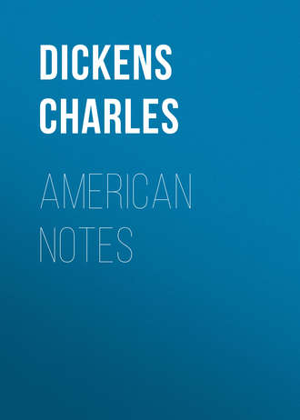 Обложка книги «American Notes»
