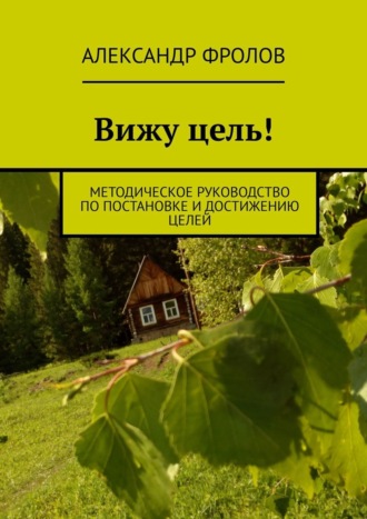 Александр Фролов. Вижу цель! Методическое руководство по постановке и достижению целей