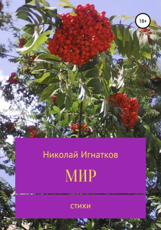 Николай Викторович Игнатков. Мир