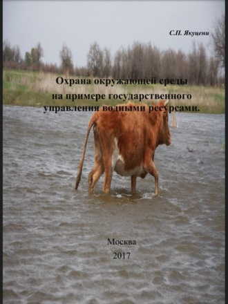Обложка книги «Охрана окружающей среды на примере государственного управления водными ресурсами»