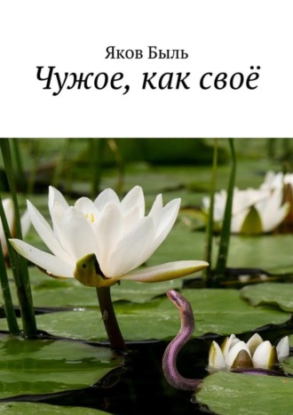 Обложка книги «Чужое, как своё»