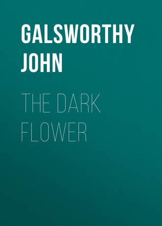 Обложка книги «The Dark Flower»