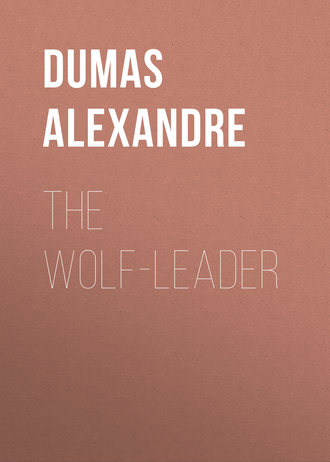 Обложка книги «The Wolf-Leader»