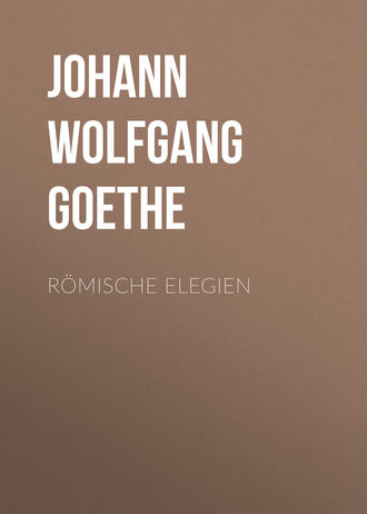 Обложка книги «Römische Elegien»
