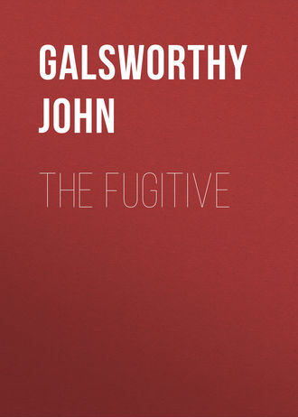 Обложка книги «The Fugitive»