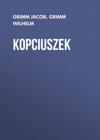 Обложка книги «Kopciuszek»