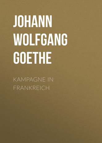 Обложка книги «Kampagne in Frankreich»