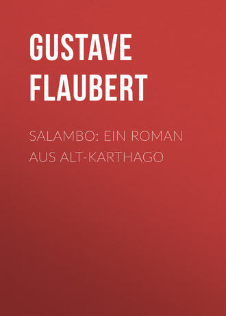 Обложка книги «Salambo: Ein Roman aus Alt-Karthago»