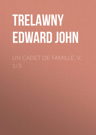 Обложка книги «Un Cadet de Famille, v. 1/3»