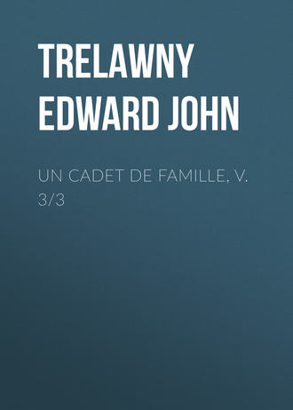 Обложка книги «Un Cadet de Famille, v. 3/3»