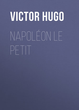 Обложка книги «Napoléon Le Petit»
