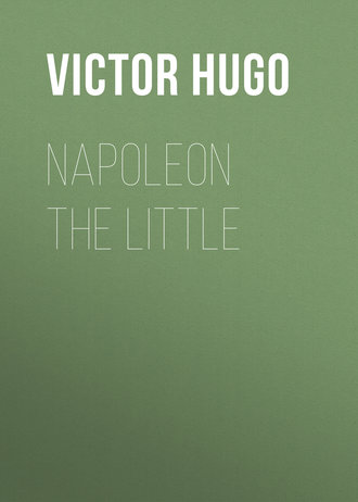 Обложка книги «Napoleon the Little»