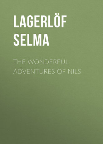 Обложка книги «The Wonderful Adventures of Nils»
