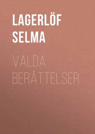 Обложка книги «Valda Berättelser»