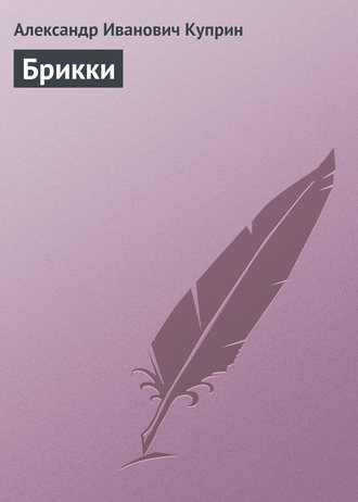 Обложка книги «Брикки»