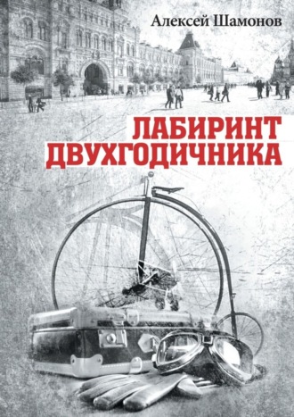Обложка книги «Лабиринт двухгодичника»