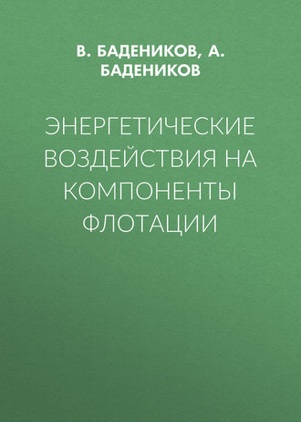 Обложка книги «Энергетические воздействия на компоненты флотации»