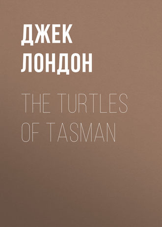 Обложка книги «The Turtles of Tasman»