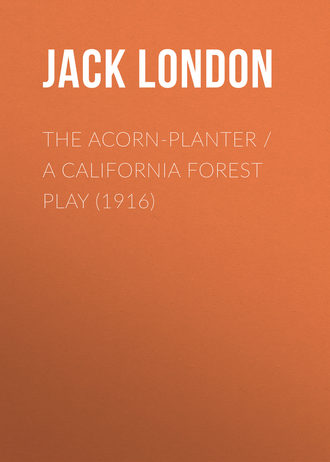 Обложка книги «The Acorn-Planter»