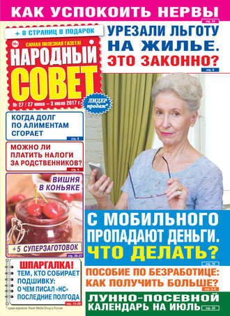 Обложка книги «Народный совет №27/2017»