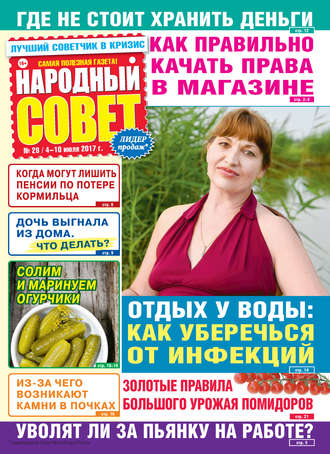 Обложка книги «Народный совет №28/2017»