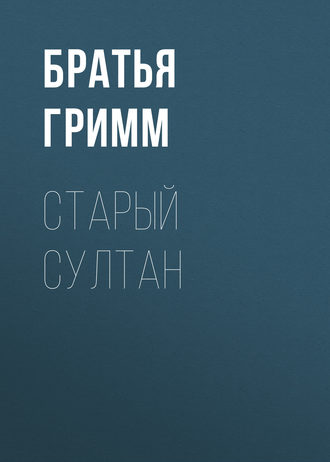 Обложка книги «Старый Султан»
