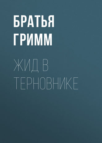 Обложка книги «Жид в терновнике»
