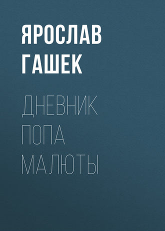 Обложка книги «Дневник попа Малюты»