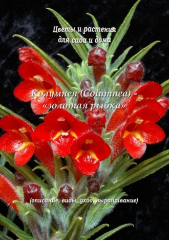 Обложка книги «Колумнея (Columnea) – «золотая рыбка»»