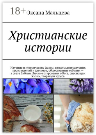 Обложка книги «Христианские истории. Научные и исторические факты, сюжеты литературных произведений и фильмов, общественные события – в свете Библии. Личные откровения о Боге, спасающем жизнь, творящем чудеса»