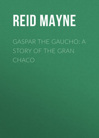 Обложка книги «Gaspar the Gaucho: A Story of the Gran Chaco»