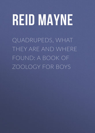 Обложка книги «Quadrupeds, What They Are and Where Found: A Book of Zoology for Boys»
