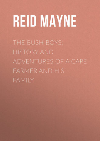 Обложка книги «The Bush Boys: History and Adventures of a Cape Farmer and his Family»