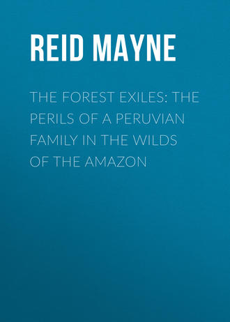 Обложка книги «The Forest Exiles: The Perils of a Peruvian Family in the Wilds of the Amazon»