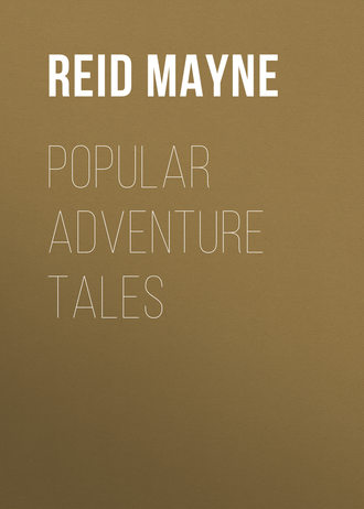 Обложка книги «Popular Adventure Tales»
