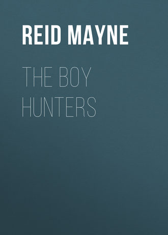 Обложка книги «The Boy Hunters»