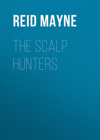 Обложка книги «The Scalp Hunters»