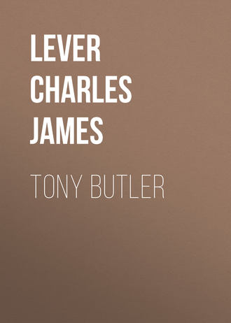 Обложка книги «Tony Butler»