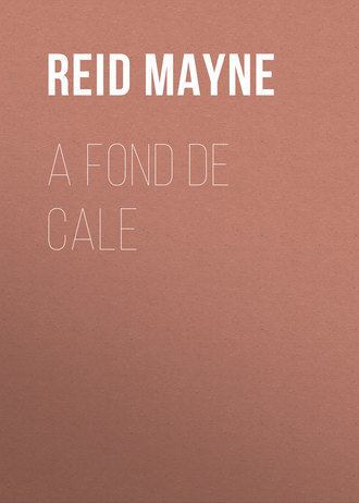 Обложка книги «A fond de cale»