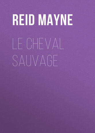 Обложка книги «Le cheval sauvage»