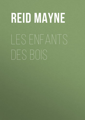 Обложка книги «Les enfants des bois»