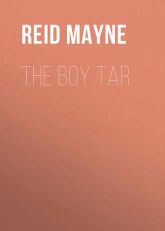 Обложка книги «The Boy Tar»