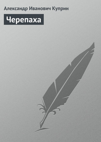 Обложка книги «Черепаха»