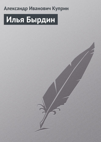 Обложка книги «Илья Бырдин»