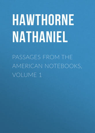 Обложка книги «Passages from the American Notebooks, Volume 1»