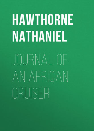 Обложка книги «Journal of an African Cruiser»