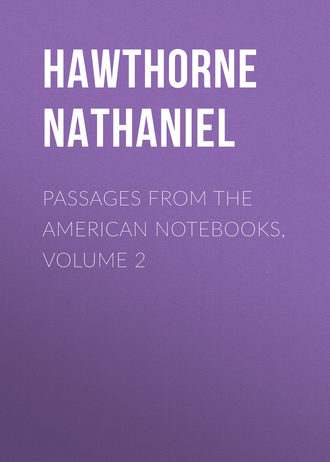 Обложка книги «Passages from the American Notebooks, Volume 2»