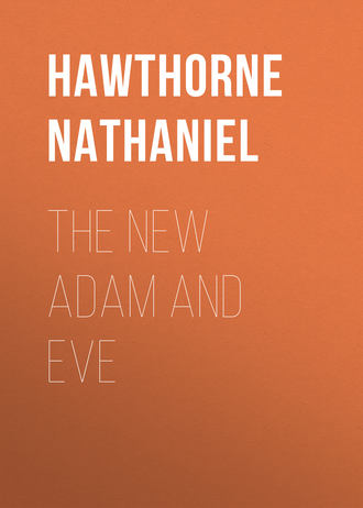 Обложка книги «The New Adam and Eve»