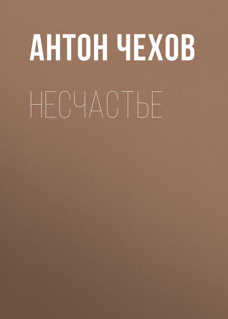 Обложка книги «Несчастье»